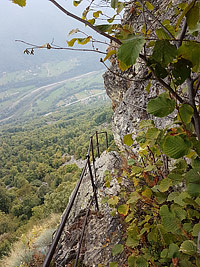 Bars d'la Tajola