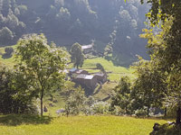 Borgata Saben